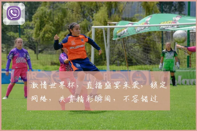 激情世界杯，直播盛宴来袭，锁定网络，共赏精彩瞬间，不容错过