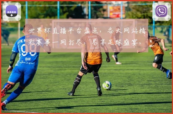 世界杯直播平台盘点，各大网站精彩赛事一网打尽，尽享足球盛宴，不容错过