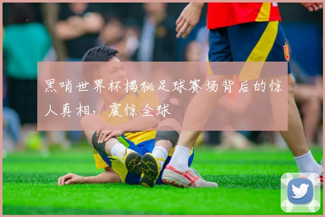 黑哨世界杯揭秘足球赛场背后的惊人真相，震惊全球