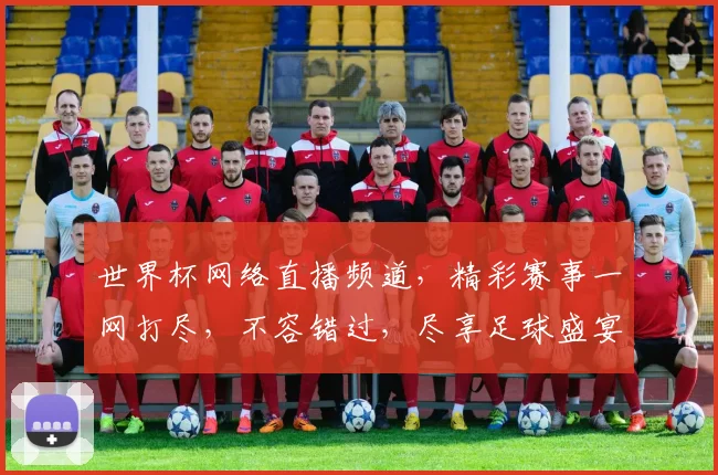 世界杯网络直播频道，精彩赛事一网打尽，不容错过，尽享足球盛宴